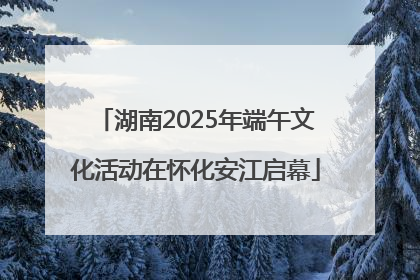 湖南2025年端午文化活动在怀化安江启幕